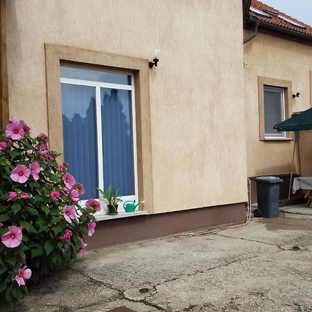 Bed and Breakfast Csoka Panzio Zalaegerszeg Exteriér fotografie