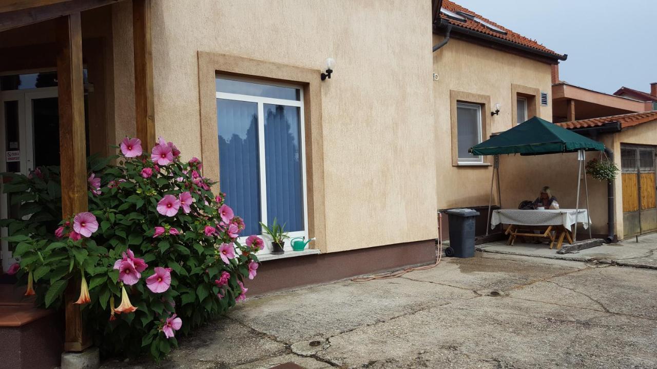 Bed and Breakfast Csoka Panzio Zalaegerszeg Exteriér fotografie