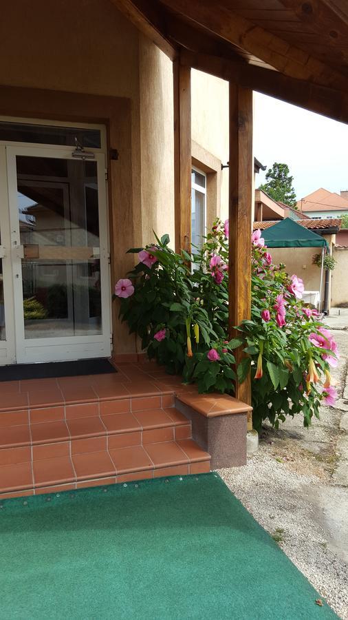 Bed and Breakfast Csoka Panzio Zalaegerszeg Exteriér fotografie